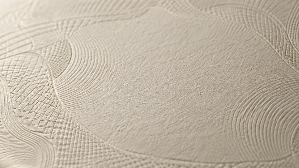Raw plate 07